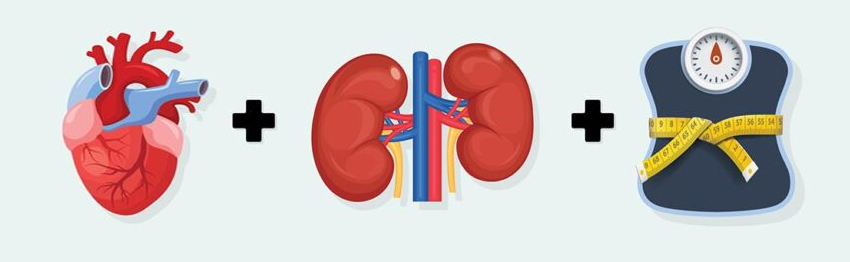 Cardiovascular-Kidney-Metabolic Syndrome: kidneys, heart, and metabolic system interconnected