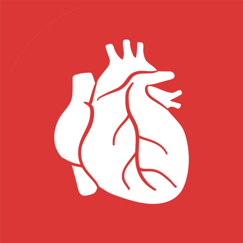 Cardiovascular Function (Fx) Test
