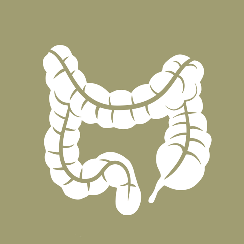 Colorectal Cancer Screening (Sx) Test