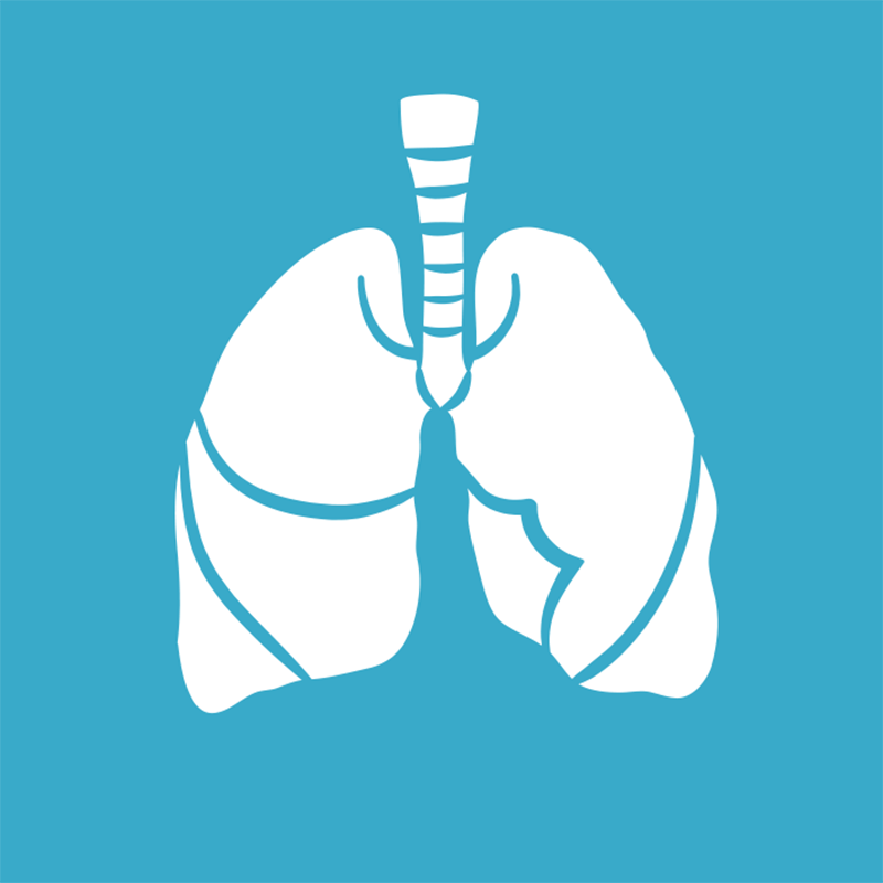 Lung Cancer Confirmation Diagnosis (CDx) Test