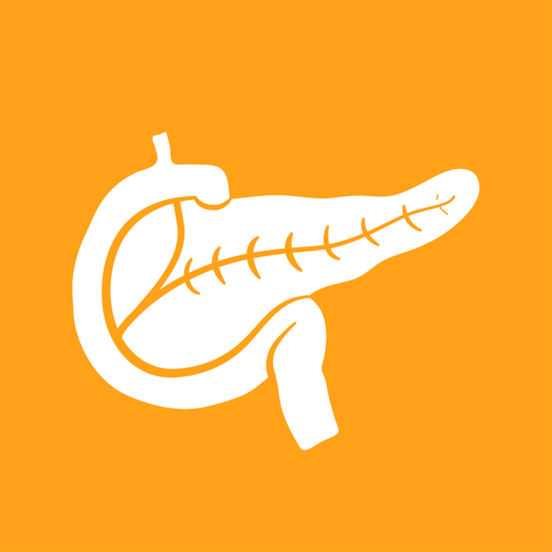 Basic Pancreatic Endocrine Function (Fx) Test
