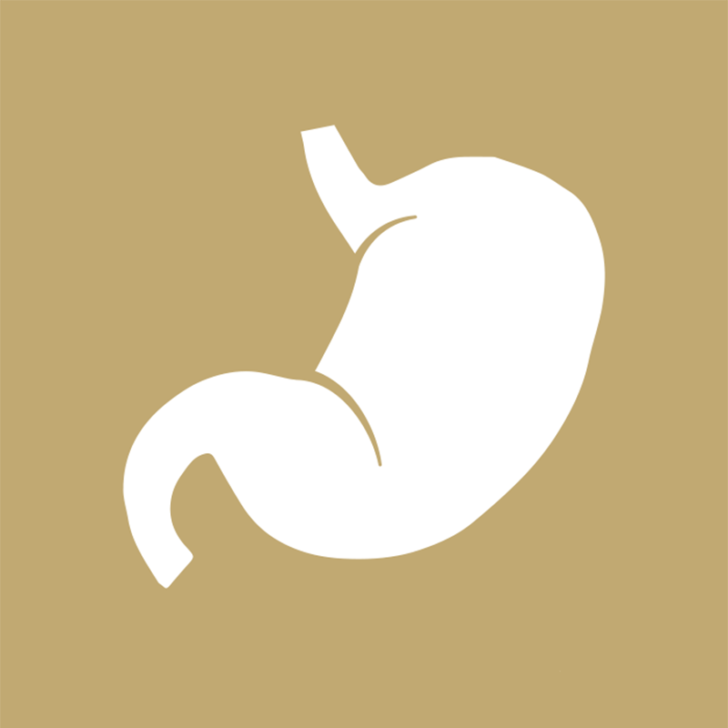 Gastrointestinal Tract (Fx) Test