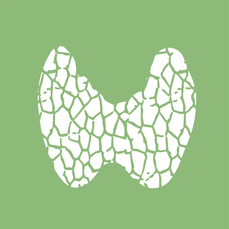 Basic Thyroid Function (Fx) Test