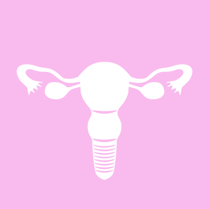 Epithelial Ovarian Cancer Confirmation Diagnosis (CDx) Test